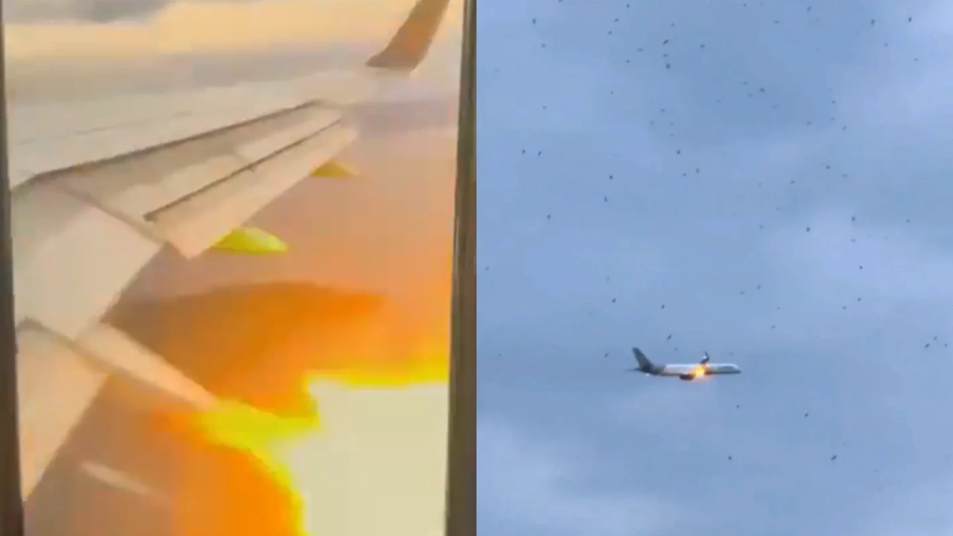 Foto: Capturas de pantalla tomadas de TikTok