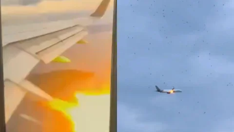 Foto: Capturas de pantalla tomadas de TikTok