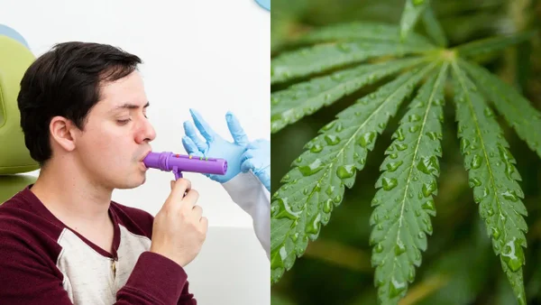 Una nueva prueba podría detectar cannabinoides en el aliento después de ingerir comestibles