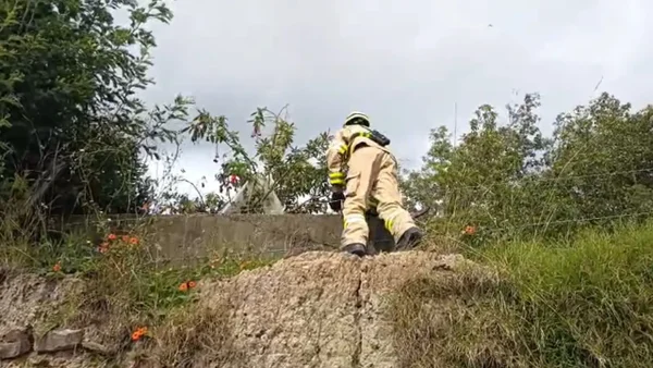 Últimas noticias de Valeria Afanador: sube la recompensa a $70 millones por su paradero