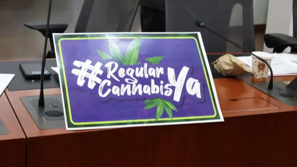 Avanza en el Congreso la regulación del cannabis de uso adulto: aprobado en primer debate