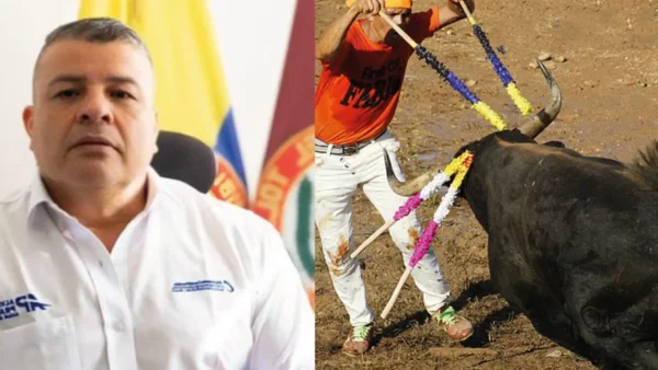 Acusan a alcalde de Guamo de autorizar corralejas que dejaron animales destrozados y un hombre al borde de la muerte