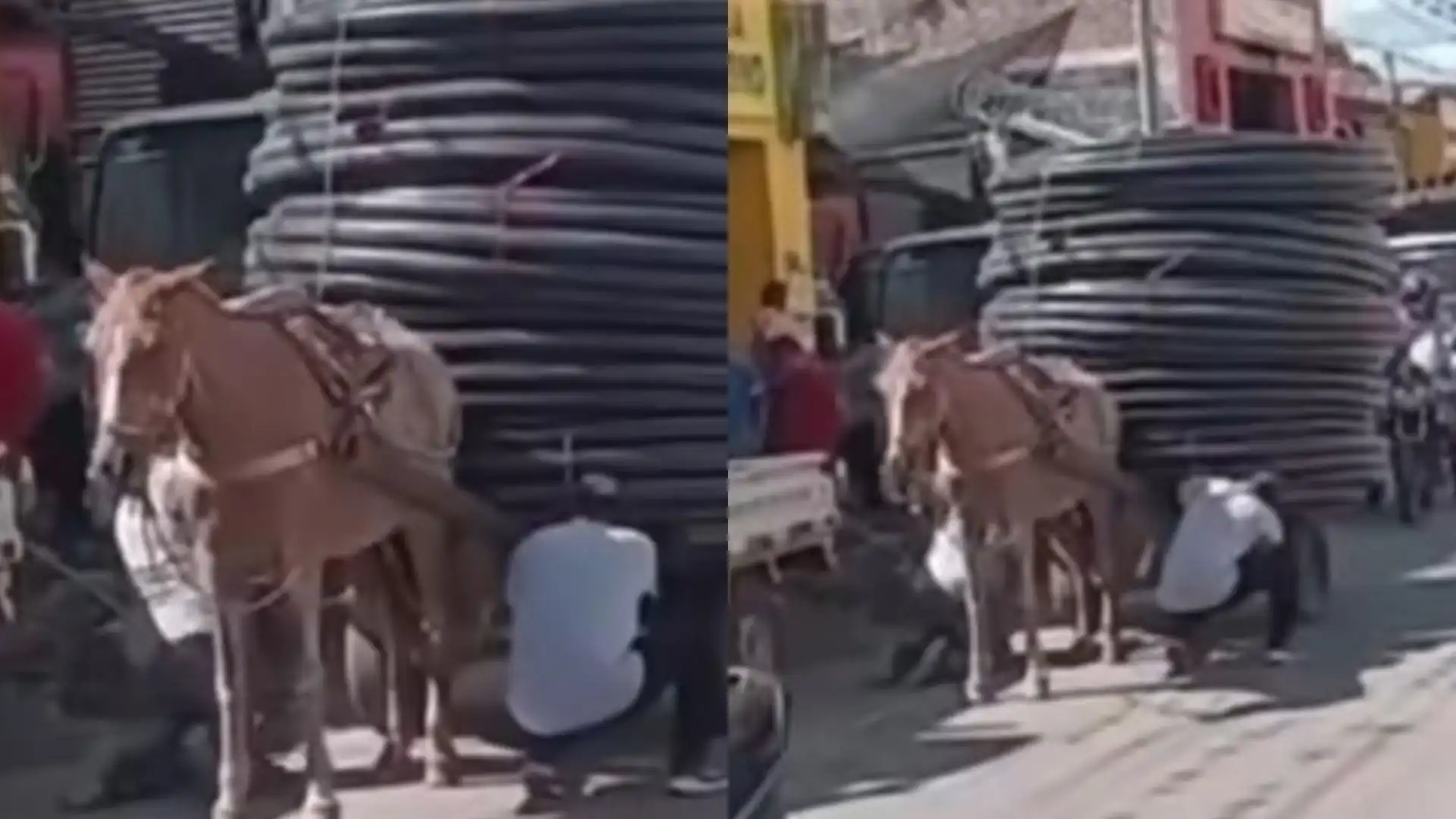 Foto: Captura pantalla IG@andreanimalidad