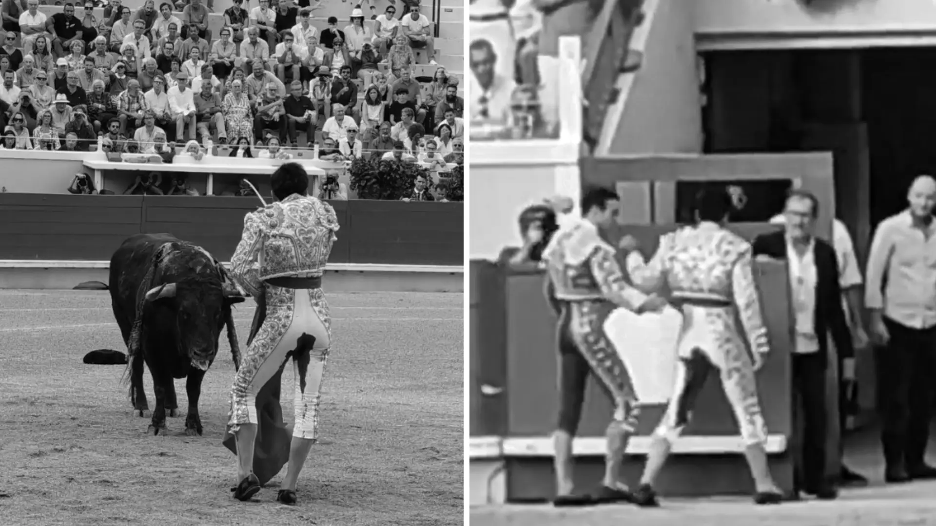 Torero corneado en Francia