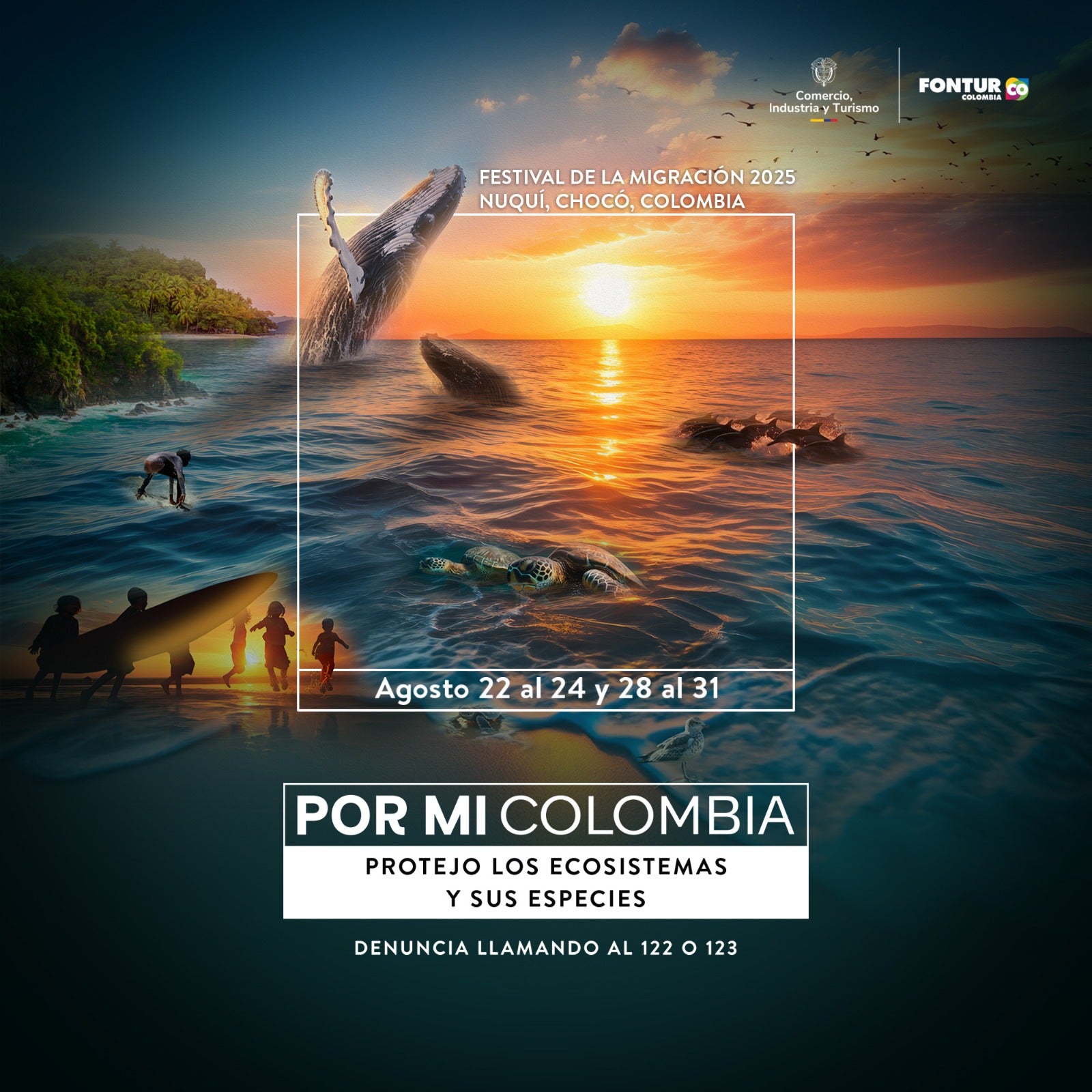 Festival de la Migración