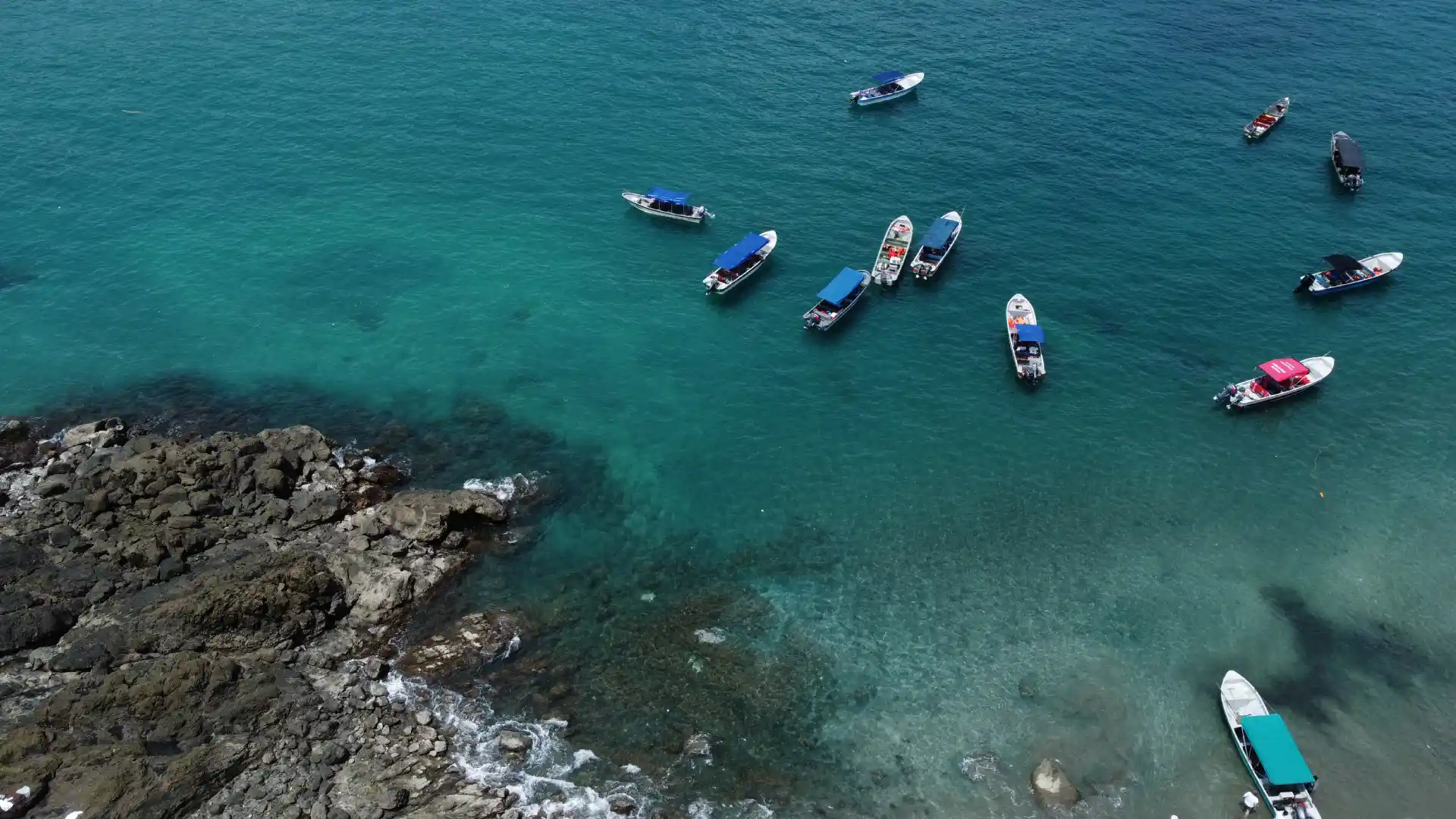 Festival de la Migración 2025