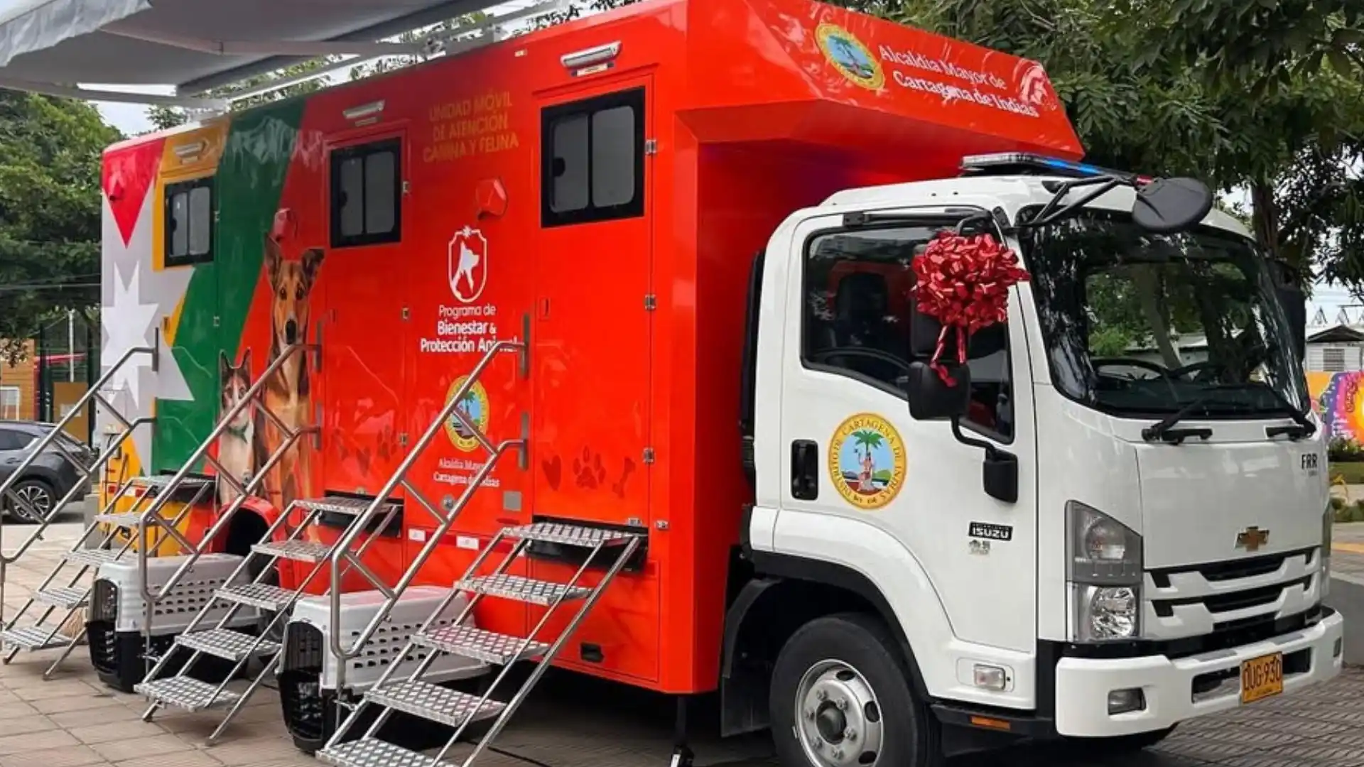 Foto: IG@umata.cartagena