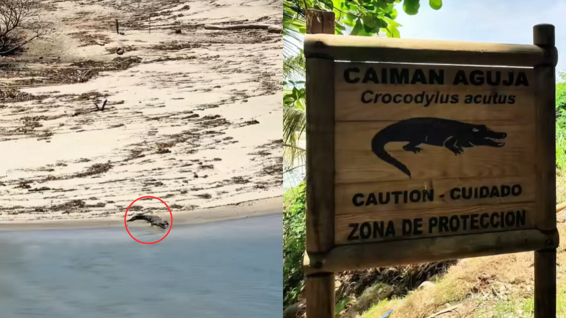 Foto: @elisoyyo10 / TikTok