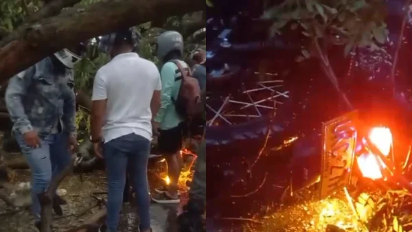 Motociclista perdió la vida, luego de que un árbol le cayera encima en Valledupar