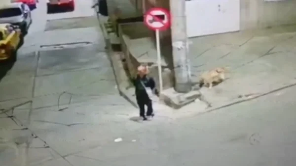 Quedó libre el hombre acusado de robar y abusar sexualmente de varios perros en Bogotá