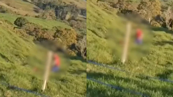 Adolescente antioqueño fue rescatado por sus vecinos: era sometido a violentas golpizas en potreros