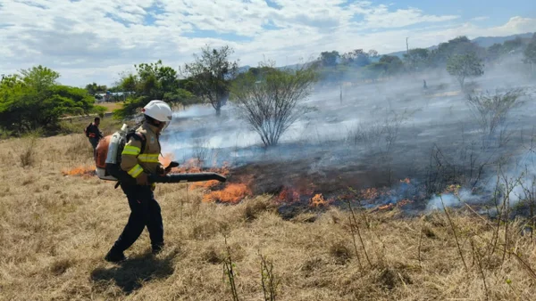 Cundinamarca en llamas: gobernador reporta 30 incendios forestales en los últimos días
