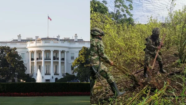 Estados Unidos evaluará la certificación de Colombia en la lucha antidrogas