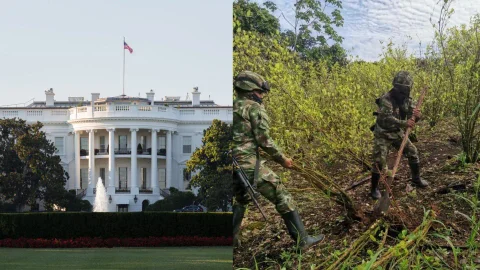 Foto: Ejército Nacional y Freepik