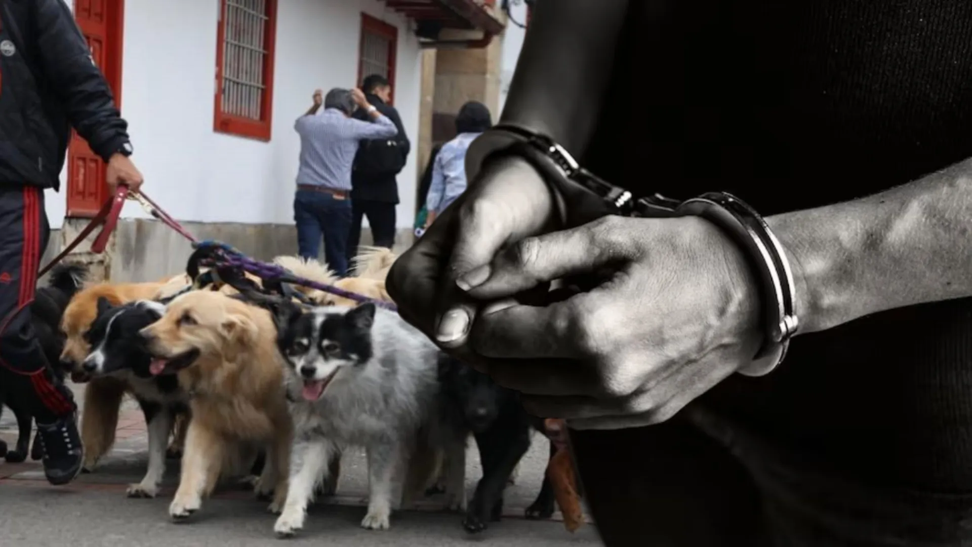 Foto: montaje realizado con imágenes de la Alcaldía de Bogotá y Freepik