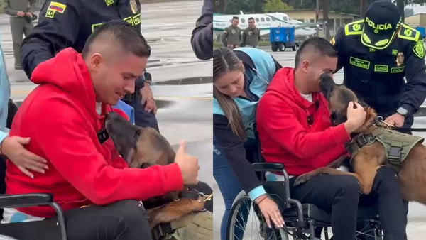 Patrullero se quiebra al reencontrarse con su perro Telmo tras atentado en Amalfi: 13 de sus compañeros fallecieron Patrullero se quiebra al reencontrarse con su perro Telmo tras atentado en Amalfi: 13 de sus compañeros fallecieron