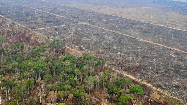 Minería ilegal y grupos armados son la principal amenaza para la selva amazónica Minería ilegal y grupos armados son la principal amenaza para la selva amazónica