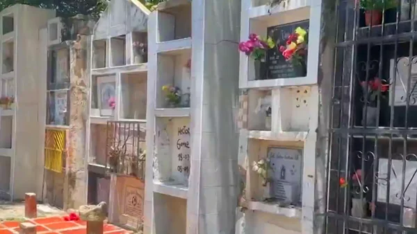 Cementerio de Soledad en crisis: restos óseos expuestos preocupan a las autoridades