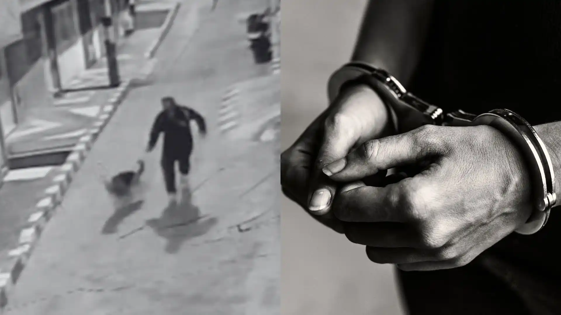 Foto: Captura pantalla Alcaldía de Bogotá y Freepik