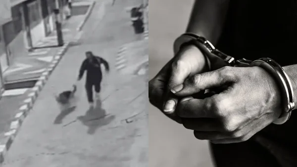 Hombre que abusaba sexualmente de perritos en Ciudad Bolívar irá a la cárcel