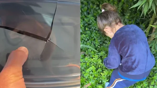 En VIDEO I Hija de Rigo rescata una zarigüeya y conmociona las redes sociales