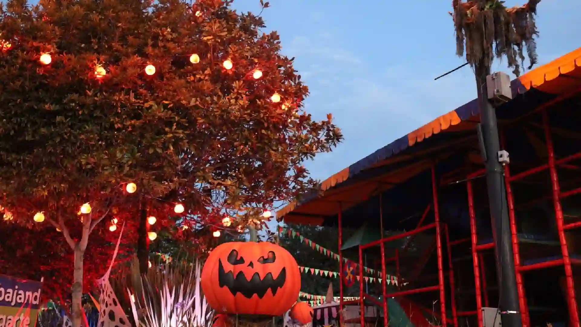 Salitre mágico - terror