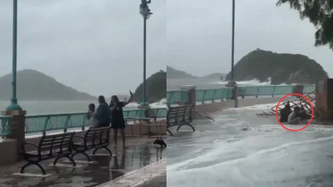 Foto: captura de pantalla