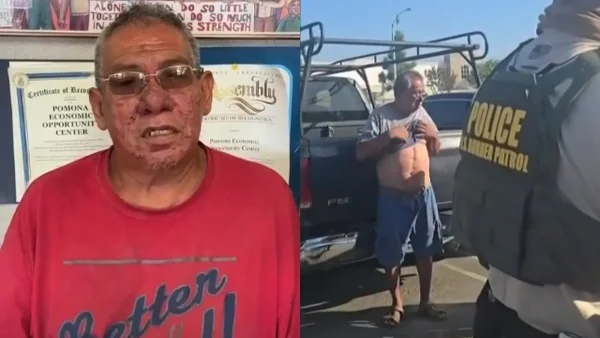 Agentes abandonaron los perros mascota de migrante al que detuvieron en los EE. UU.