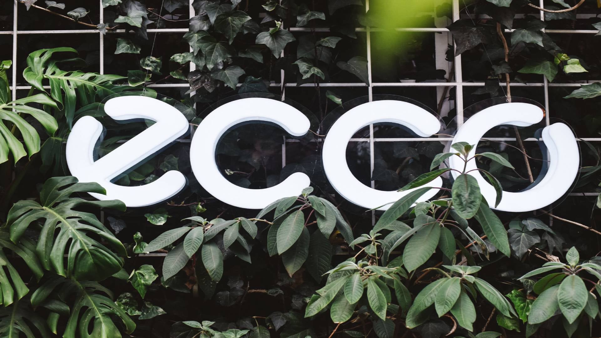 ECCO Walks invita a redescubrir Teusaquillo con cultura y estilo