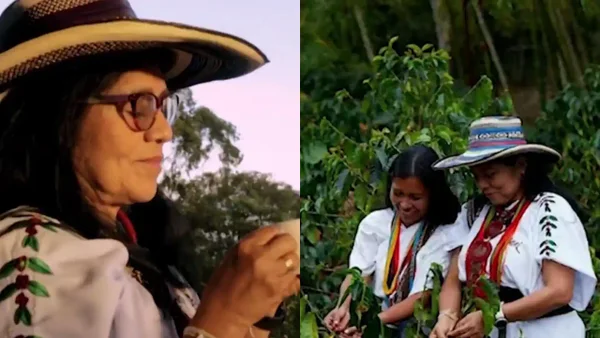 Mujeres que inspiran: una bióloga indígena transformó la Sierra Nevada con su emprendimiento cafetero