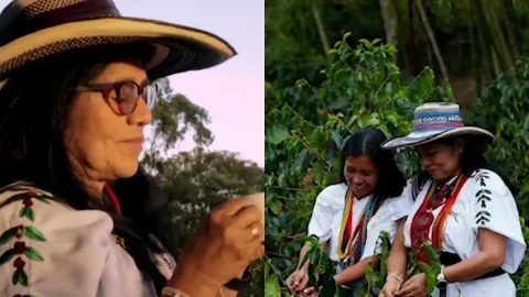 Foto: Captura pantalla Noticias RCN