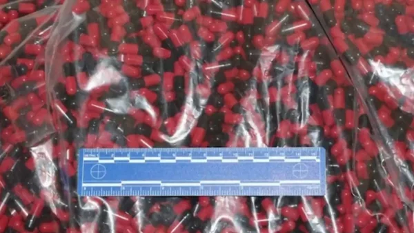 Cayó fábrica que adulteraba, envasaba y distribuía falsos medicamentos y suplementos deportivos Cayó fábrica que adulteraba, envasaba y distribuía falsos medicamentos y suplementos deportivos