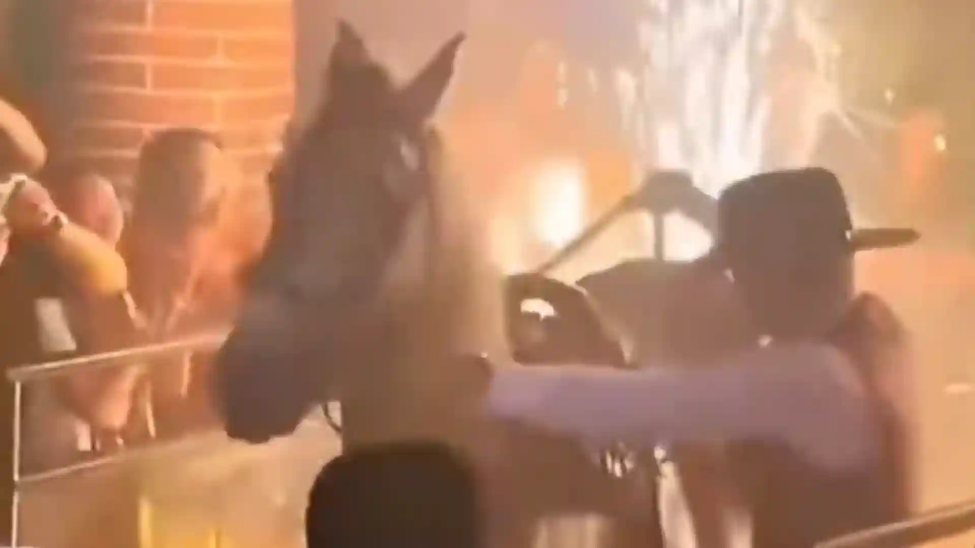 Caballo maltratado en un bar de Bogotá.