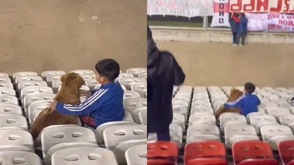 Niño conmovió al mundo viendo partido con su perrito desde la tribuna: el mejor recuerdo Niño conmovió al mundo viendo partido con su perrito desde la tribuna: el mejor recuerdo