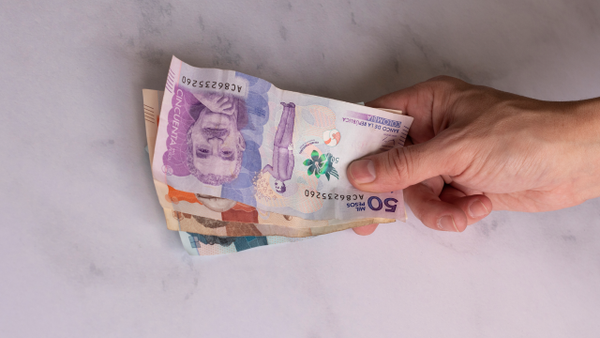 Adultos mayores recibirán subsidio de 225.000 pesos con subsidio en octubre: así puede consultar con su cédula