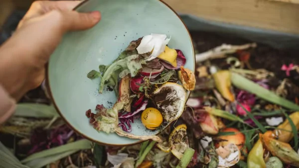 Bogotá tiene una nueva idea para evitar que alimentos próximos a caducar en plazas de mercado se desperdicien Bogotá tiene una nueva idea para evitar que alimentos próximos a caducar en plazas de mercado se desperdicien