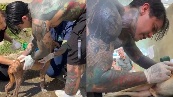 Yeferson Cossio donó 400 esterilizaciones para animales en condición de calle en el Amazonas