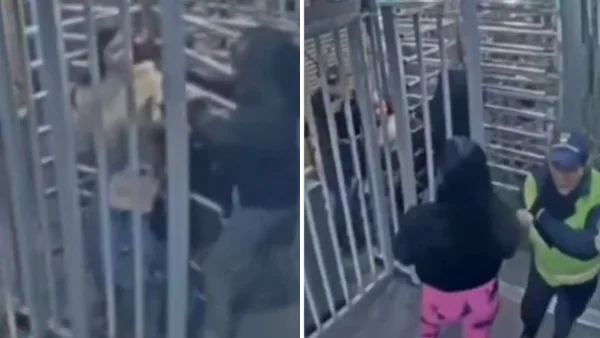 VIDEO | Recién salido de la cárcel y su pareja fueron sorprendidos robando con cuchillo en Transmilenio