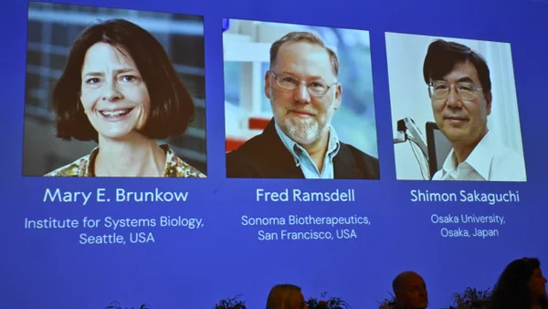 Premio Nobel de Medicina 2025: reconocen a los científicos que descifraron el control del sistema inmunológico