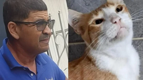 Judicializan al hombre que le sacó un ojo con una varilla a una gatica y la mató en Montería