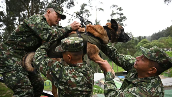 Sueldos del Ejército Nacional de Colombia: cuánto ganan los oficiales, suboficiales y soldados