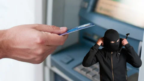 Foto: montaje realizado con imágenes de Freepik