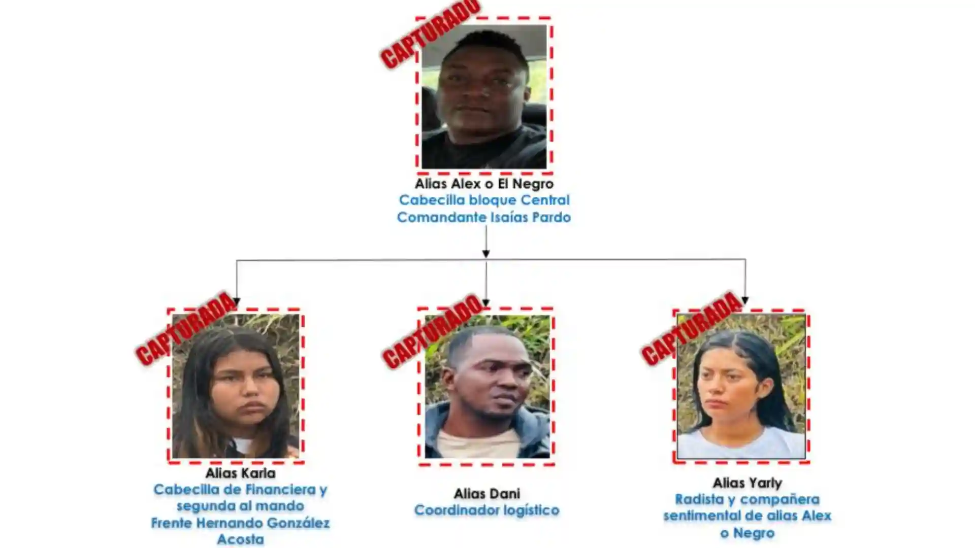 Disidentes de las Farc capturados en Huila.