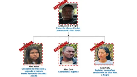 Disidentes de las Farc capturados en Huila.