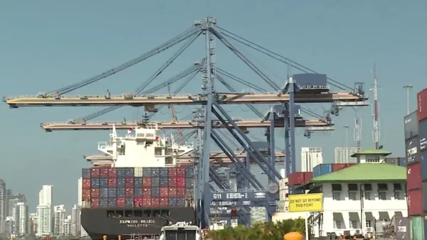 Productores alertan por eliminación del arancel al hilo de algodón: "podría desaparecer la industria"