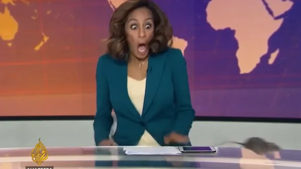 Viral: rata irrumpió en un noticiero en vivo y la presentadora no ocultó su reacción Viral: rata irrumpió en un noticiero en vivo y la presentadora no ocultó su reacción