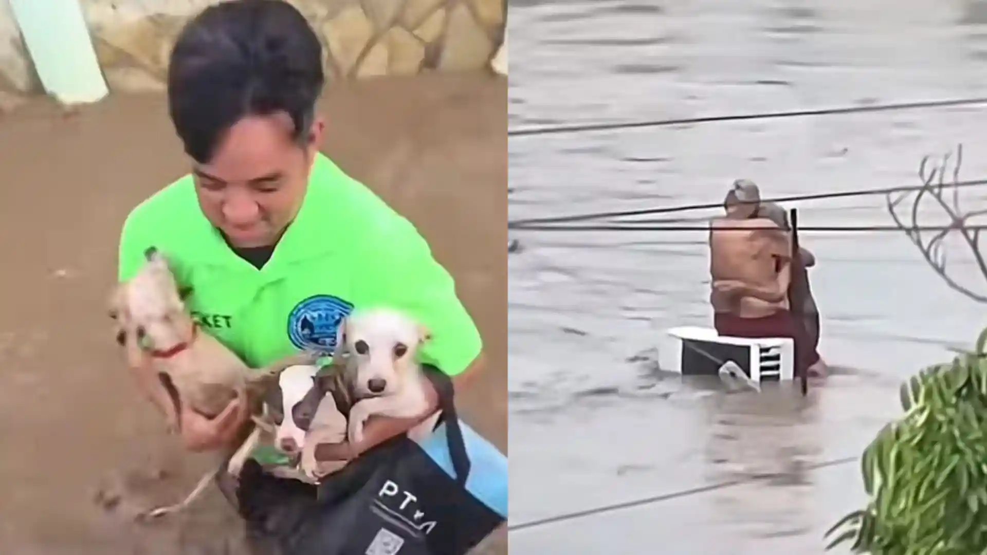 Foto: Capturas de pantalla Tiktok @arcadianews2.0 y @veracruz36013