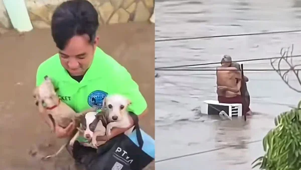 Las impactantes imágenes que dejan las inundaciones en México tras varios días de fuertes lluvias Las impactantes imágenes que dejan las inundaciones en México tras varios días de fuertes lluvias