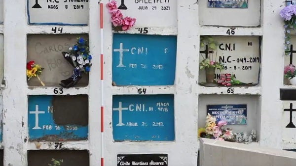 Unidad de Búsqueda inicia nueva fase de identificación de cuerpos en cementerio de Caucasia