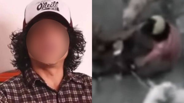 Rescatan a siete perros en manos del “Monstruo del bosque” en Pasto Rescatan a siete perros en manos del “Monstruo del bosque” en Pasto